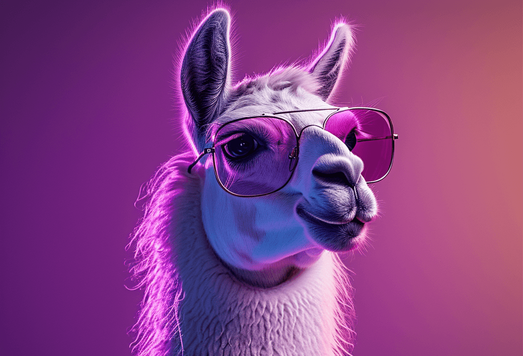 Custom Llama